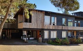 Cabañas Punta de Lobos